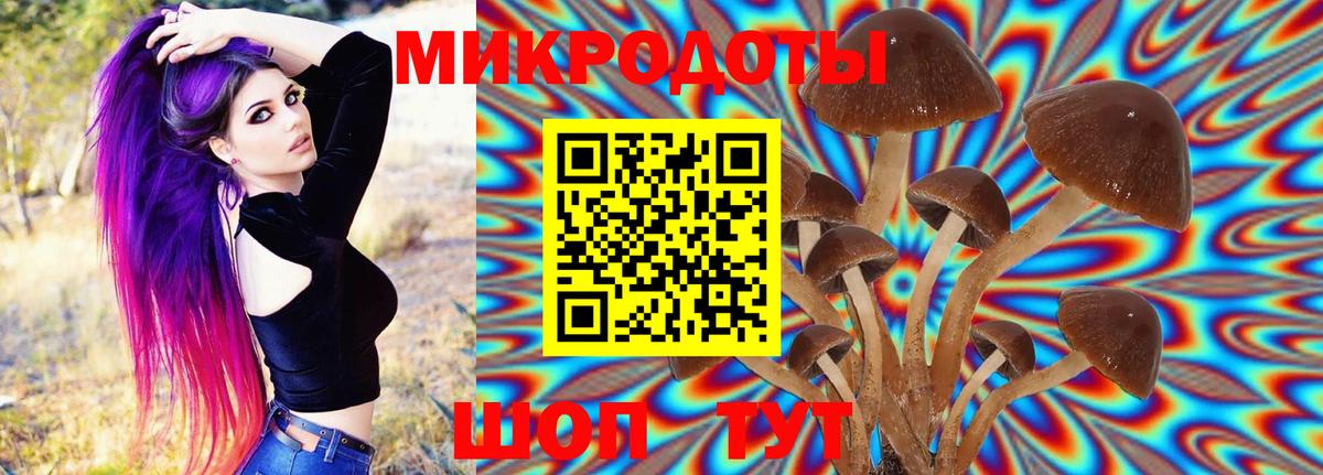 Псилоцибиновые грибы MAGIC MUSHROOMS  Вход с VPN  Чебаркуль  Галлюциногенные грибы Psilocybe 